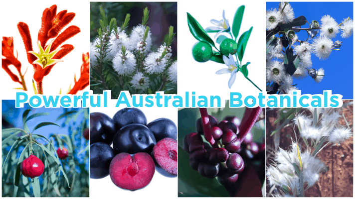 Australian Botanicals used in skinB5 products