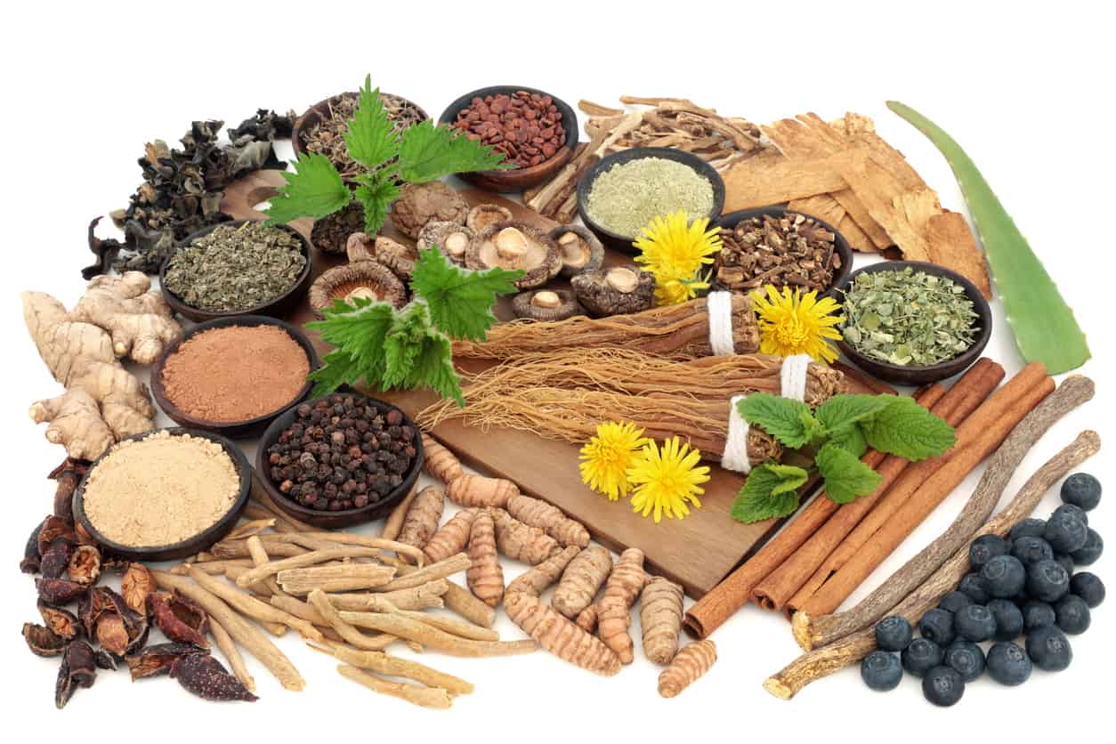 Adaptogen Herb for immunity